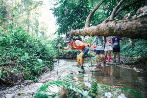 BIB: 
                            <button type="button" onclick="openModal(25451553)" class="btn btn-primary btn-sm float-right btn-popup" data-toggle="modal" data-target=".modal-high-quality">
                        <i class="fas fa-shopping-cart"></i> Add to Cart
                    </button>
                                            <button type="button" onclick="isThisMe(25451553, true)" class="btn btn-success btn-sm float-right btn-popup btn-isme hidden" data-toggle="tooltip" data-placement="bottom" title="นี่คือรูปของคุณใช่ไหม คลิกที่นี่เพื่อเอาเข้าอัลบั้ม">
                        <i class="fas fa-plus"></i> Add to album
                    </button>
                    <button type="button" onclick="isThisMe(25451553, false)" class="btn btn-warning btn-sm float-right btn-popup btn-isnotme hidden">
                        <i class="fas fa-ban"></i> Remove from album
                    </button>